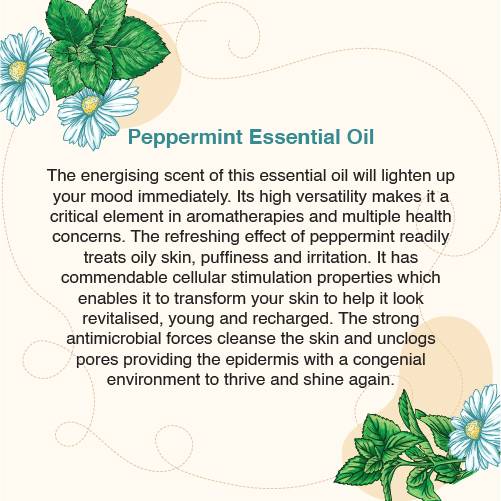PEPPERMINT ESSENTIAL OIL (10ml)