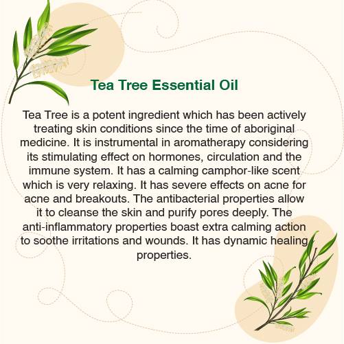 TEA TREE ESSENTIAL OIL (10ml)