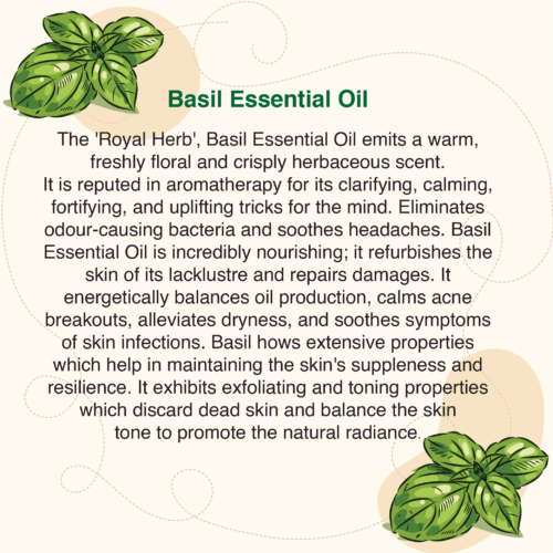 BASIL ESSENTIAL OIL (10ml)