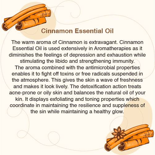 CINNAMON ESSENTIAL OIL (10ml)