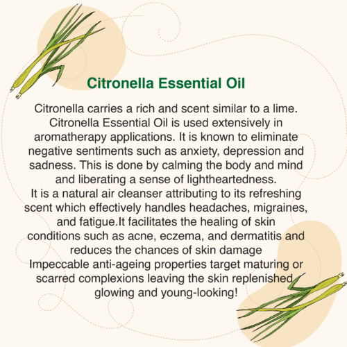 CITRONELLA ESSENTIAL OIL (10ml)